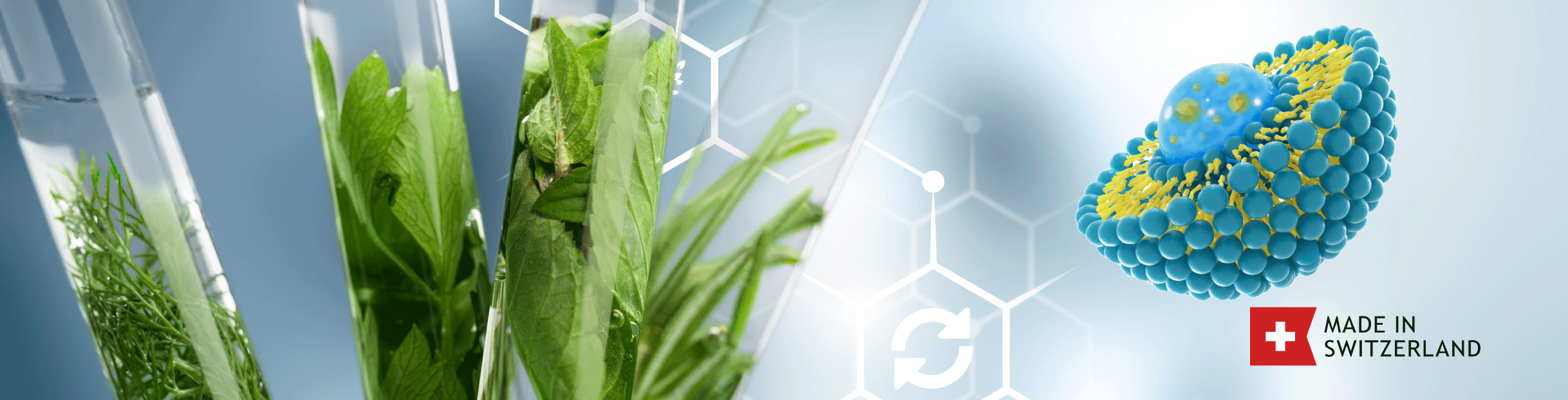 NIOBLU: natura, scienza e tecnologia niosomiale